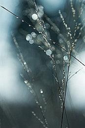 《刺客信条：英灵殿》下一次更新将加入单手剑